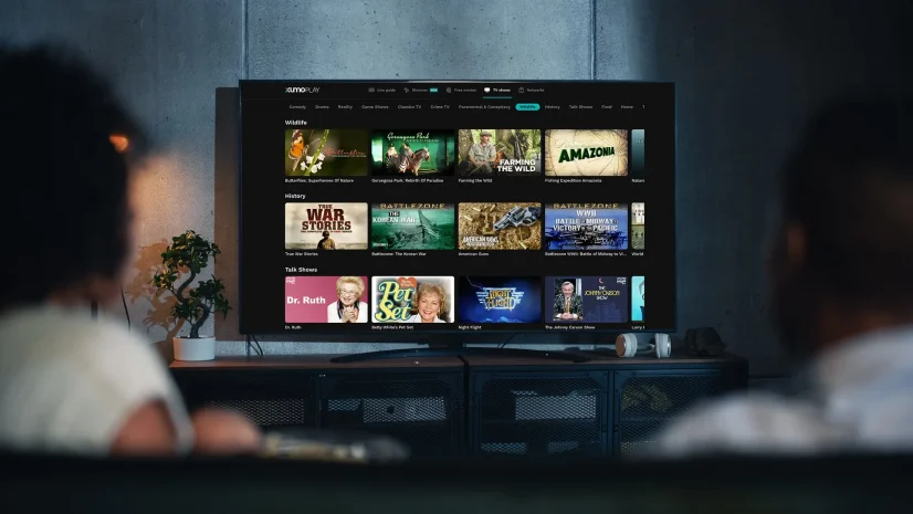 English Megapack (12 Months)